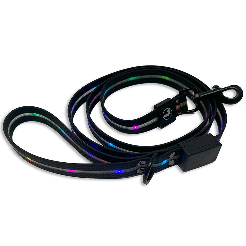 Glowy Pup LED Dog Leash
