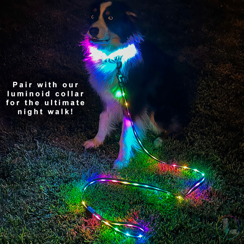 Glowy Pup LED Dog Leash