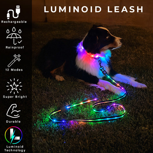 Glowy Pup LED Dog Leash